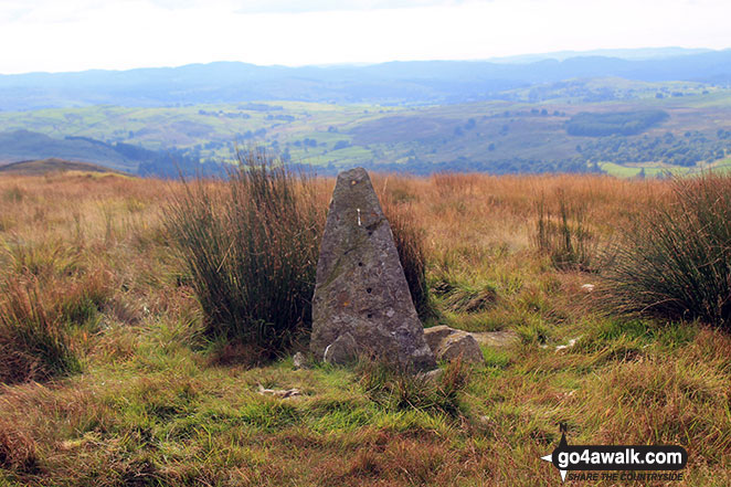 Summit stone on the top of Hollow Moor (Green Quarter) 