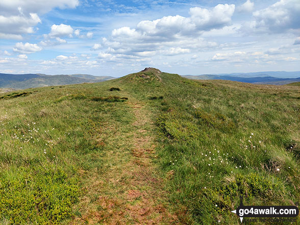 Walk c349 Sour Howes and Sallows from Troutbeck - Sallows summit