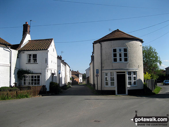 Walk nf127 Mucklefield Plantation from Worstead - Worstead