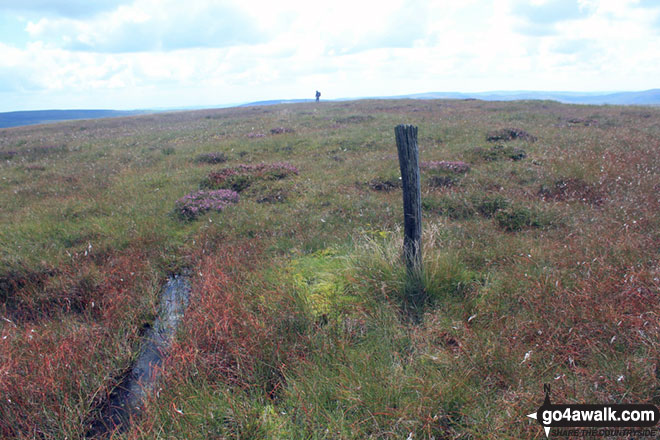 Walk Whetstone Ridge walking UK Mountains in The White Peak Area The Peak District National Park Cheshire, England