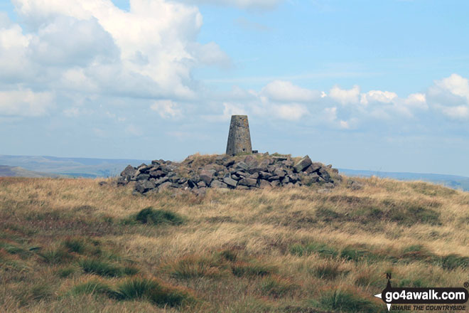 Axe Edge (Axe Edge Moor) summit trig point 