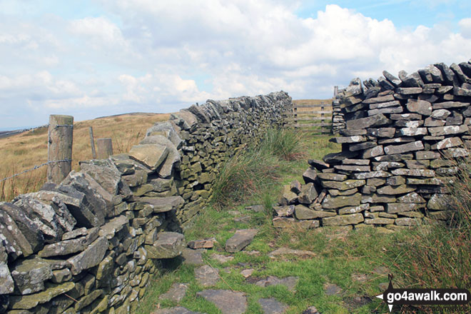 Another view of the sheepfold on Cheeks Hill  - the highest point in Staffordshire