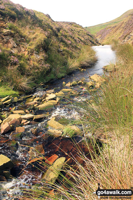 The River Dane in Danebower Quarries 