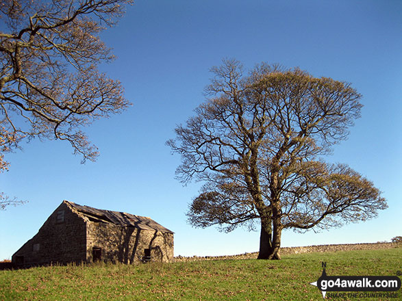 Dilapidated Barn, Back of Ecton 