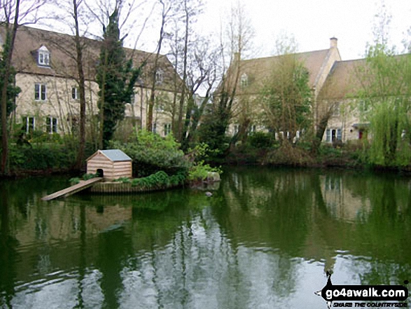 Walk gl103 Longborough, Donnington and Broadwell from Moreton-in-Marsh - The Duck Pond in Moreton-in-Marsh