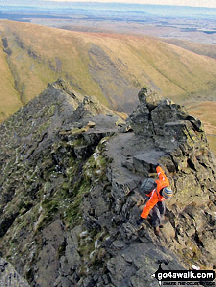 Walk c191 The Glendermackin Round from Mungrisdale - Sharp Edge edge in all its infamous glory