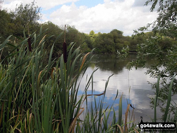 Walk bu196 Mop End from Little Missenden - Shardeloes Lake, Little Missenden