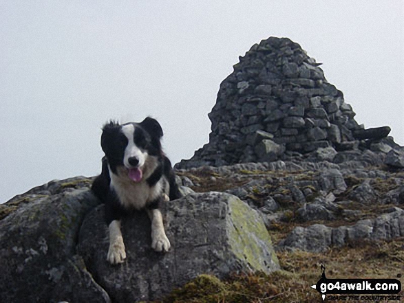 Isla, my hillwalking companion, on Beinn a' Chuallaich 