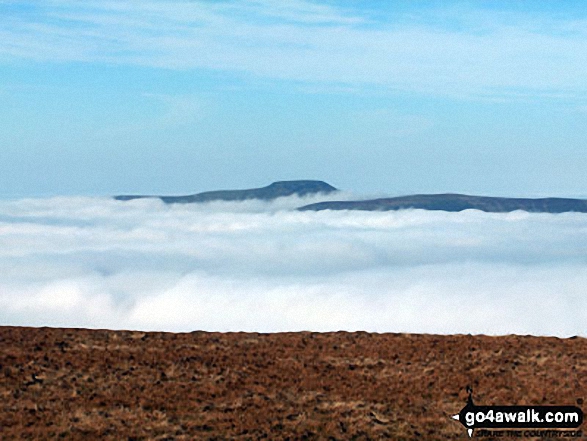 Walk ny331 The Yorkshire Three Peaks Challenge as a 3 day walk - Day 1 from Horton in Ribblesdale (New 2013 Route) - Ingleborough and Simon Fell as seen from Pen-y-Ghent during temperature inversion