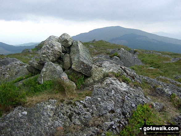 Walk gw127 Dduallt and Rhobell Fawr from Cwm yr Allt-lwyd - Dduallt (Arenigs) summit cairn