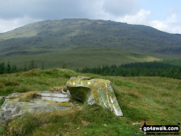 Moel Cae'r-defaid Photo by Mike Cavanagh