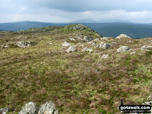 Walk Rhobell Ganol walking UK Mountains in The Arenigs Area Snowdonia National Park Gwynedd, Wales