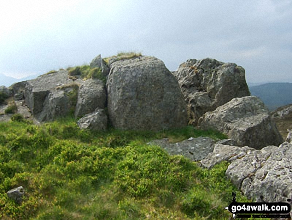 Rhobell-y-big Photo by Mike Cavanagh