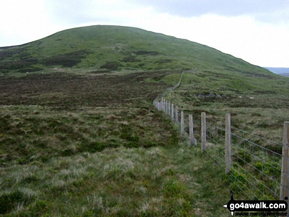 Moel y Cerrig Duon