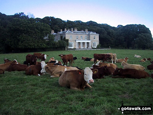 'Locals' in Sheringham Park 