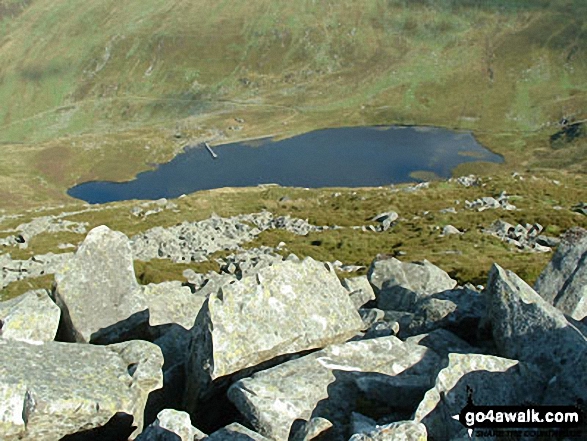 Walk gw193 Foel Fras from Bont Newydd - Llyn Anafon from the 700m contour on Llwytmor