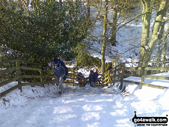 Walk d224 Lose Hill from Edale - Climbing back out of the Grinds Brook valley in the snow and ice at Edale