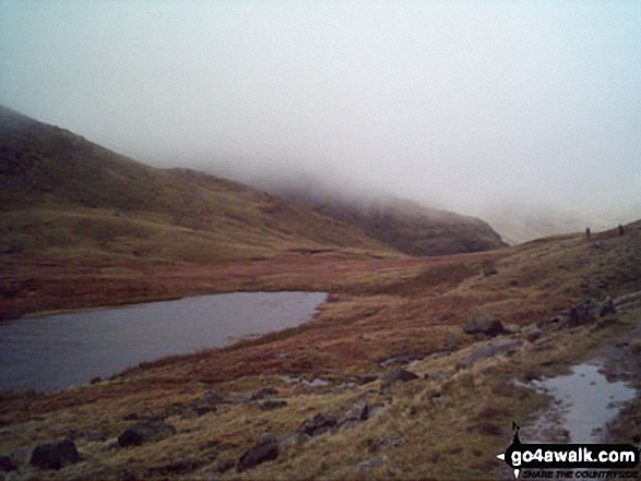 Walk c298 Pike of Blisco (Pike o' Blisco) and Wrynose Pass from The Old Dungeon Ghyll, Great Langdale - Red Tarn (Langdale) below Pike of Blisco (Pike o' Blisco)