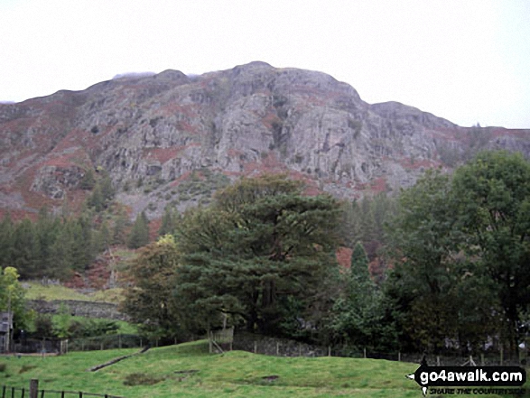 Pike of Blisco (Pike o' Blisco) from Oxendale 