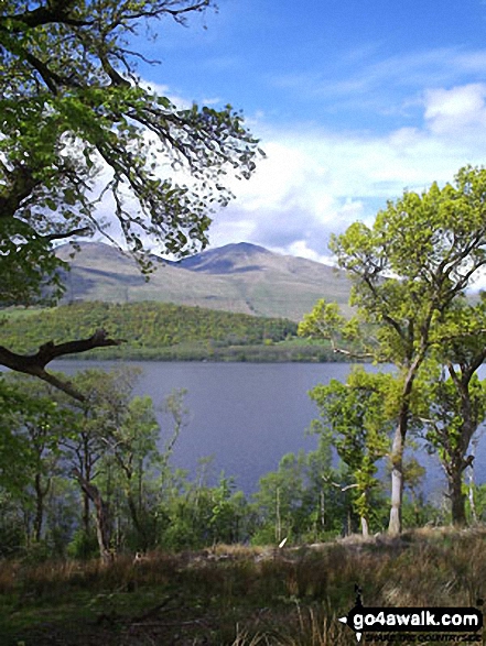 Ben Lawers from Loch Tay