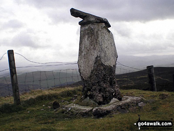 Black Law (Ettrick Forest) Photo by Mike Knipe