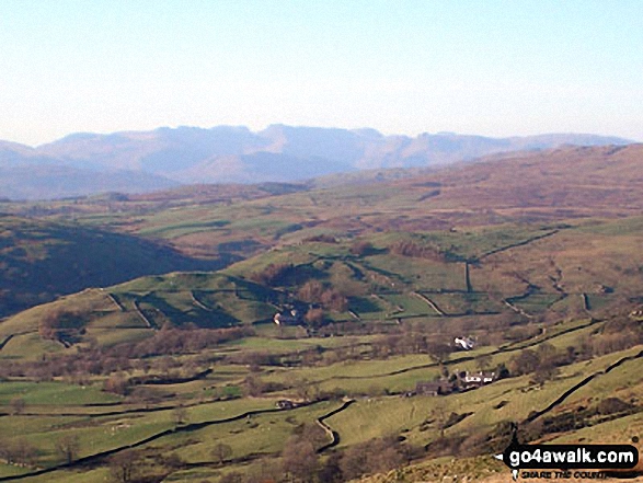 Sca Fell and Scafell Pike from Ulgraves (Potter Fell)