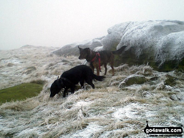 On West Nab, Meltham Moor