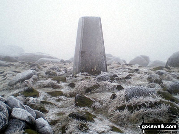 West Nab summit Trig Point, Meltham Moor 