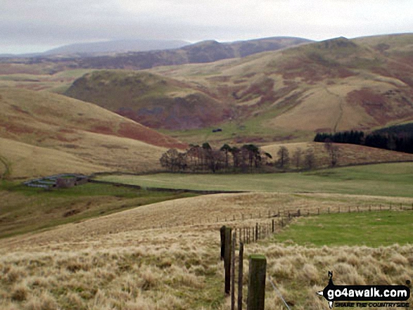 Walk bo131 Woden Law from Tow Ford - The Cheviot Hills from the slopes of Woden Law