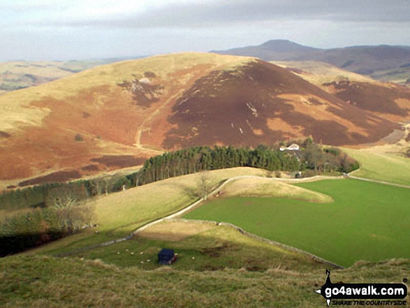 Walk bo131 Woden Law from Tow Ford - Humblemoor Hill from Langside Law