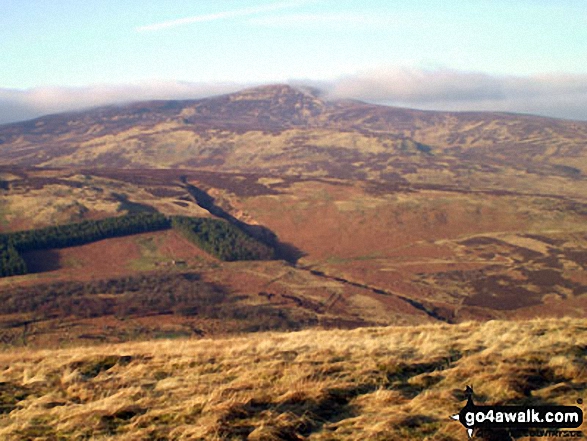 Hedgehope Hill from Shill Moor