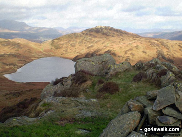 Walk c400 Beacon (Blawith Fells) and Yew Bank from Brown Howe - Beacon Tarn and Beacon (Blawith Fells) from Wool Knott