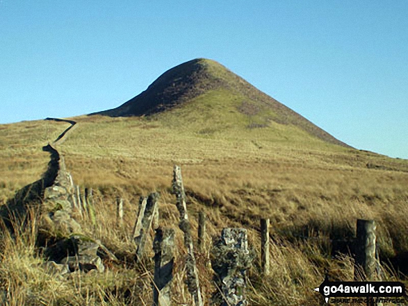 Approaching Skelfhill Pen, Teviotdale from the East 