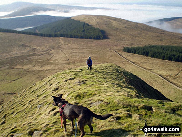 Walk bo104 Skelfhill Pen from Buccleuch Estates (Teviothead) - Descending Skelfhill Pen, Teviotdale