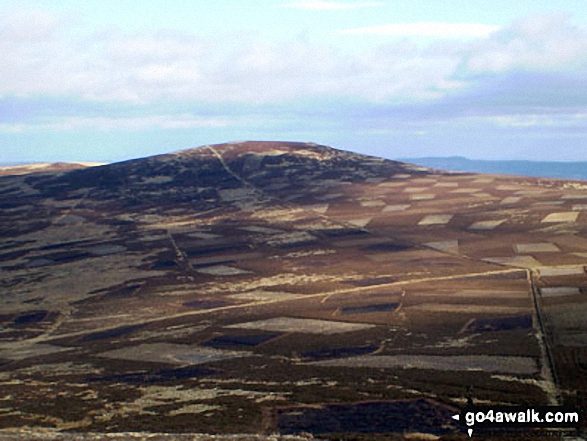 Walk n111 The Cheviot and Cold Law from Harthope Burn Valley - Cold Law from Broadhope Hill