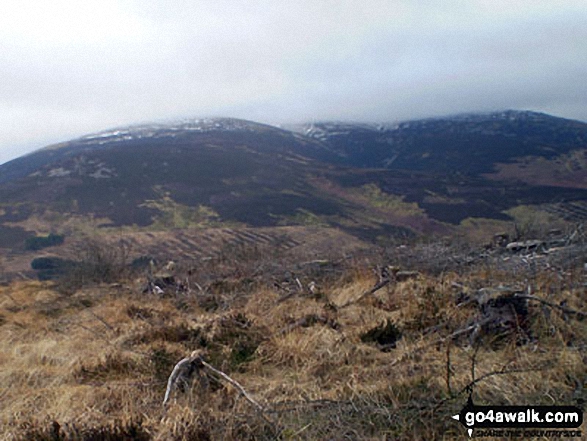 Walk n111 The Cheviot and Cold Law from Harthope Burn Valley - The Cheviot from Broadhope Hill