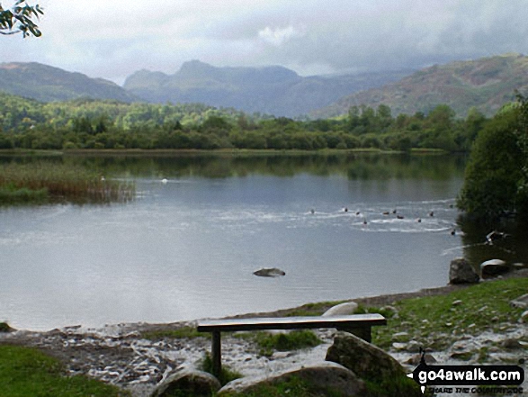 The Langdale Pikes from Elter Water 