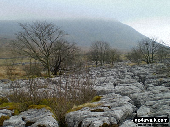 Ingleborough in mist beyond Limestone Pavement in Chapel-le-Dale 