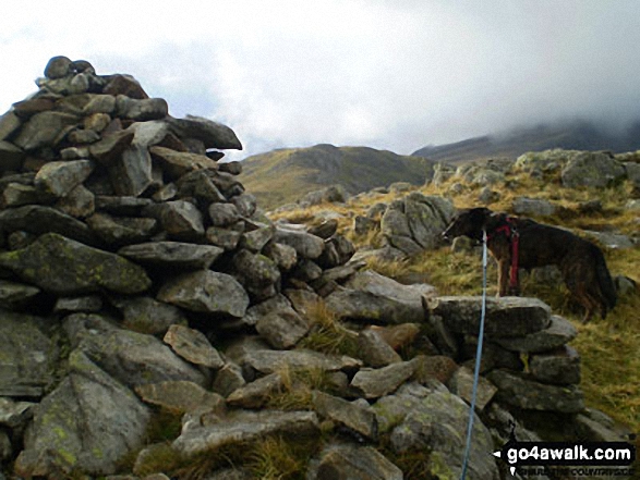 Bruno on Gallt yr Ogof summit 