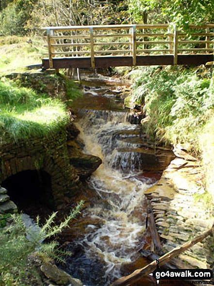 Beldon Burn near Baybridge 