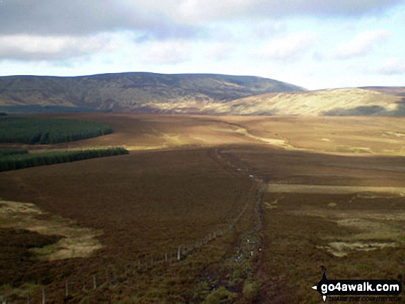 Walk n140 Cushat Law and Bloodybush Edge from Alwinton - The Cheviot from Bloodybush Edge