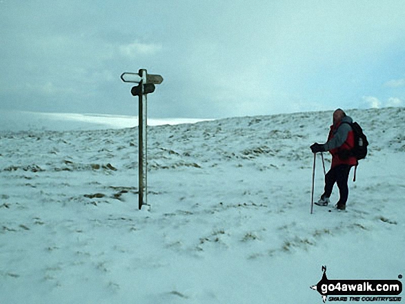 Snow on The Dodd 