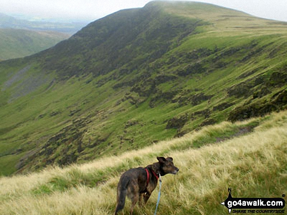 Walk c191 The Glendermackin Round from Mungrisdale - Bannerdale Crags from Bowscale Fell