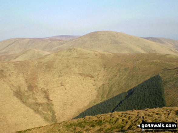 Carlin Tooth (Teviotdale) and Tudhope Hill from Ellson Fell