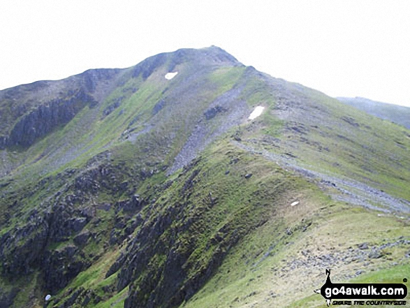 Mam Sodhail from Carn Eige