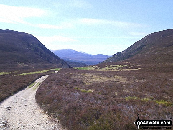 Walk h184 Meall a' Bhuachaille and Craiggowrie from Glenmore Forest Park - Ryvoan Pass and Bothy