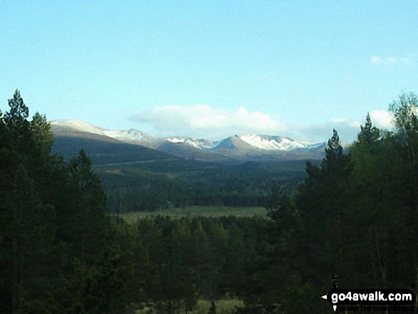 Walk h184 Meall a' Bhuachaille and Craiggowrie from Glenmore Forest Park - Early Morning in The Cairngorms from near Ryvoan Bothy