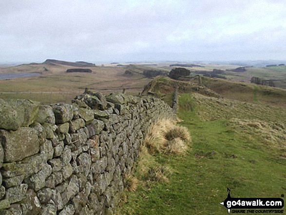 Walk n142 Hadrian's Wall from Cawfield Quarry to Steel Rigg - Walking The Hadrian's Wall National Trail