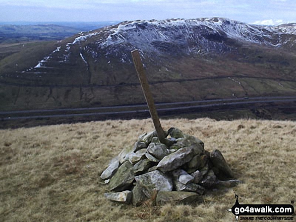 Blease Fell (Howgills) summit with the M6 and Grayrigg Forest beyond 