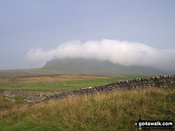 Walk ny112 Pen-y-ghent and Plover Hill from Dale Head - Pen-y-ghent from Dale Head